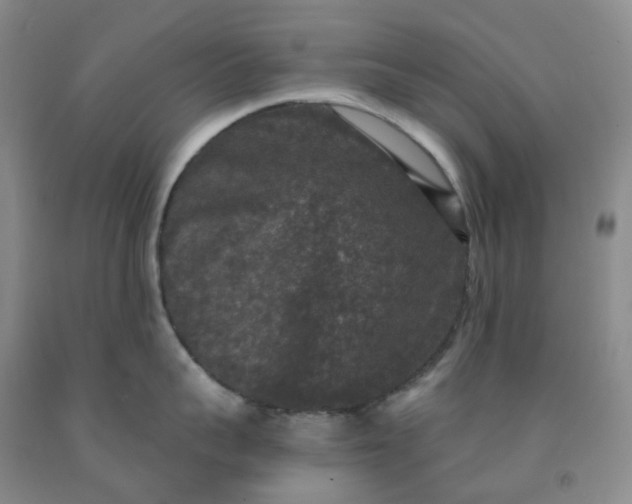 X0000092010959200709201528