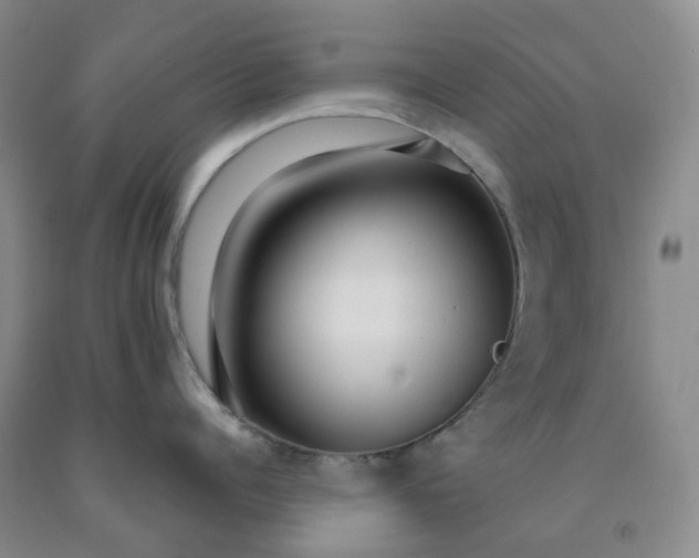 X0000092010960200709201528