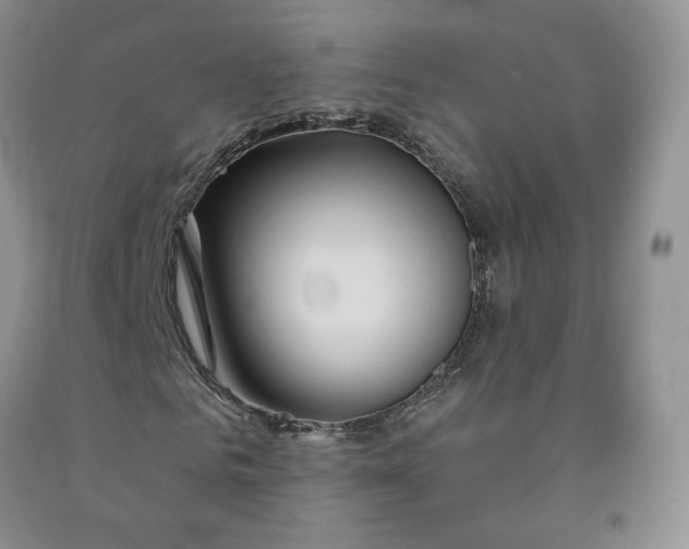 X0000092010961200709201527