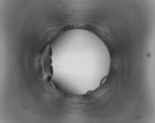 X0000092010962200709201526