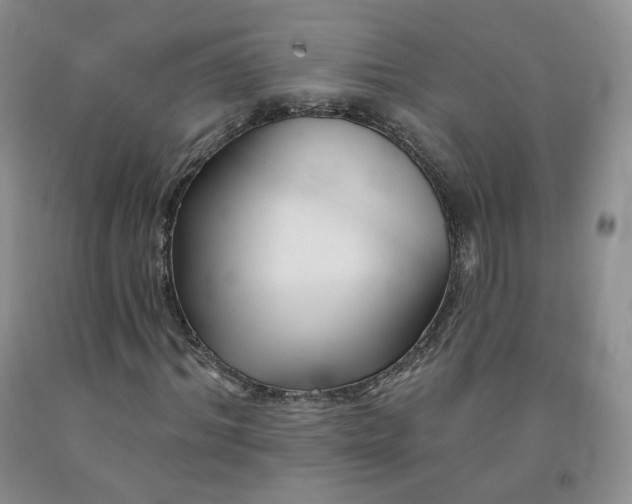 X0000092010964200709201526
