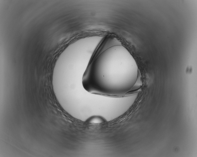 X0000092010965200709201526