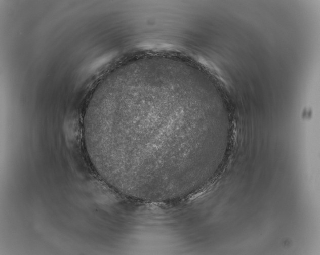 X0000092010966200709201526