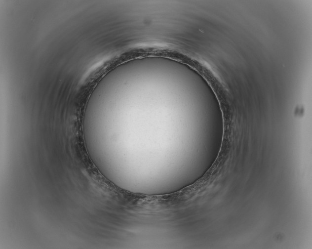 X0000092010967200709201526