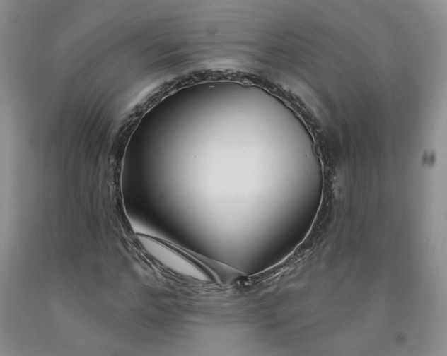 X0000092010968200709201526