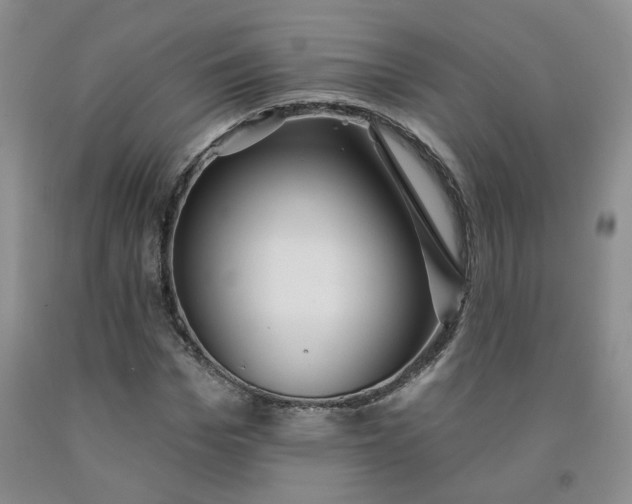 X0000092010969200709201526