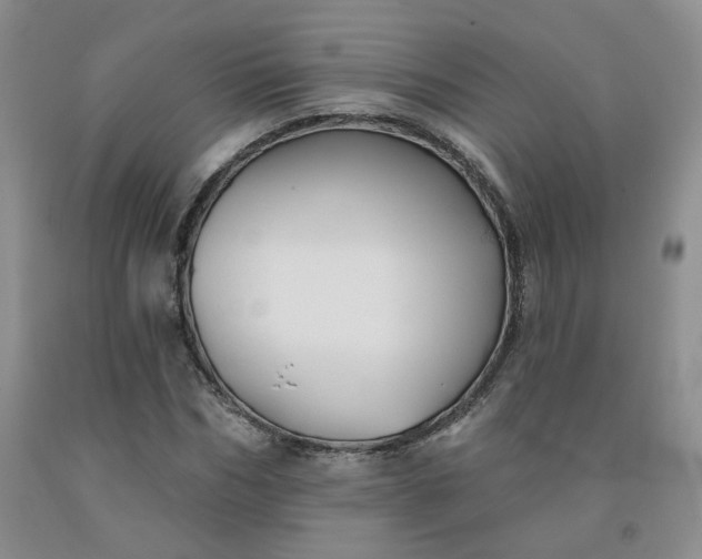 X0000092010970200709201526