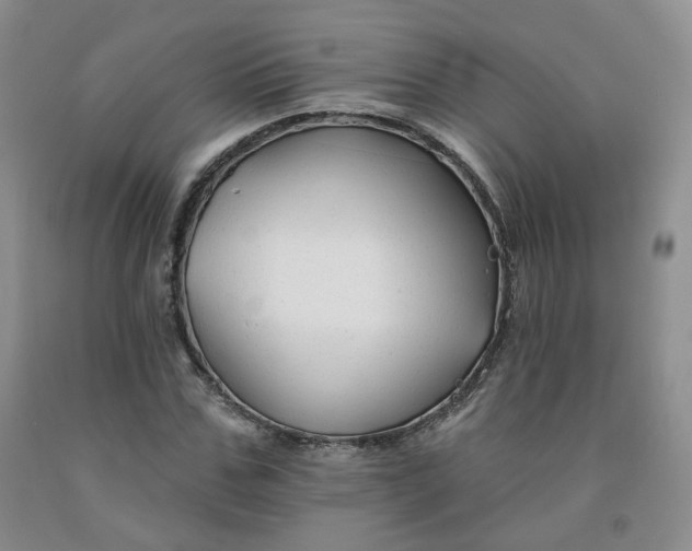 X0000092010971200709201526