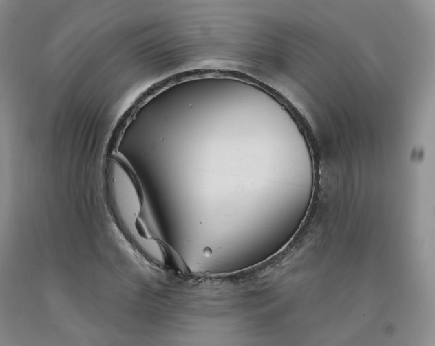 X0000092010972200709201526