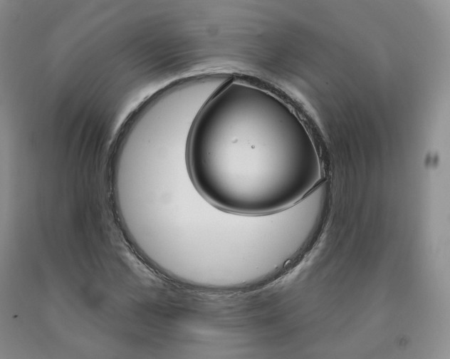 X0000092010973200709201526
