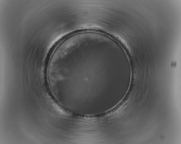 X0000092010975200709201526