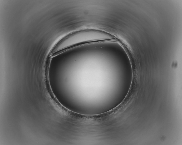 X0000092010976200709201526