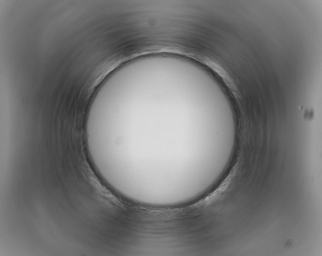 X0000092010977200709201526