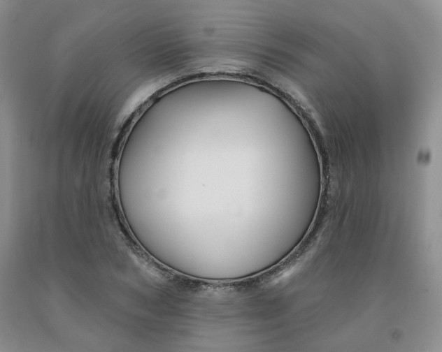 X0000092010978200709201526