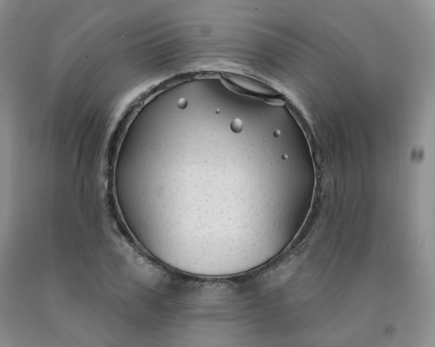 X0000092010979200709201526