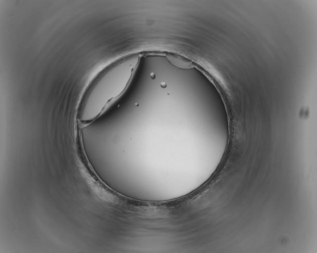 X0000092010980200709201526