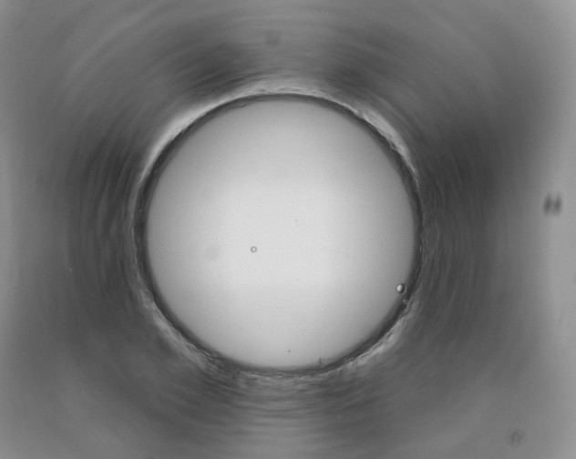 X0000092010981200709201526