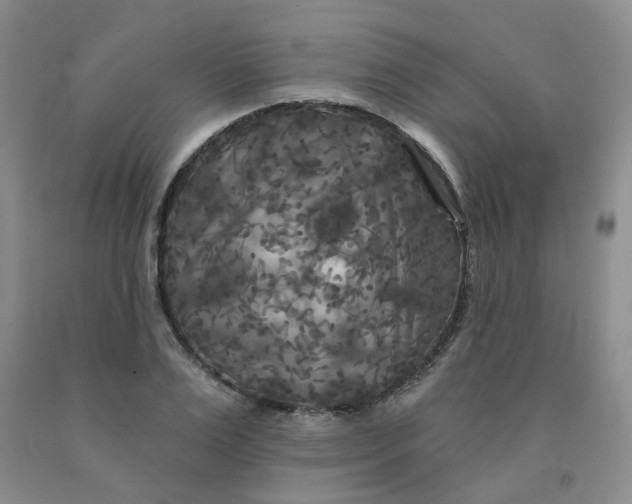 X0000092010983200709201526