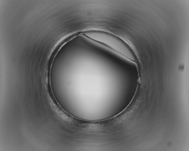X0000092010984200709201526