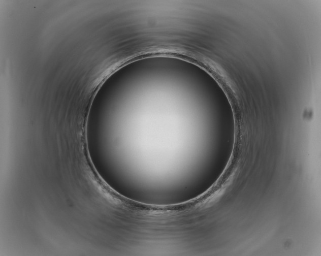X0000092010985200709201526