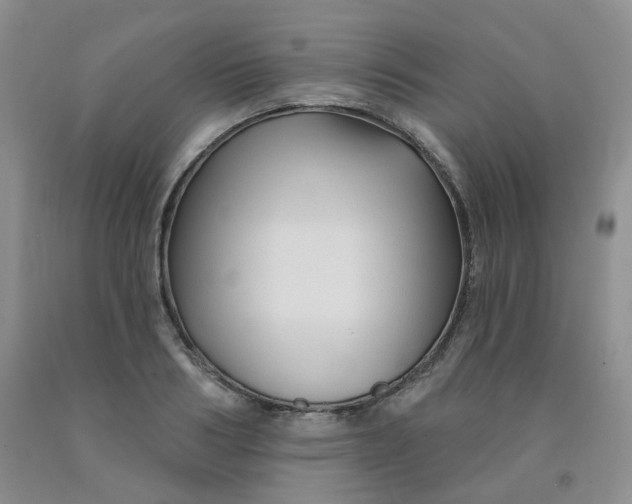 X0000092010986200709201526
