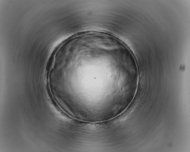 X0000092010987200709201526