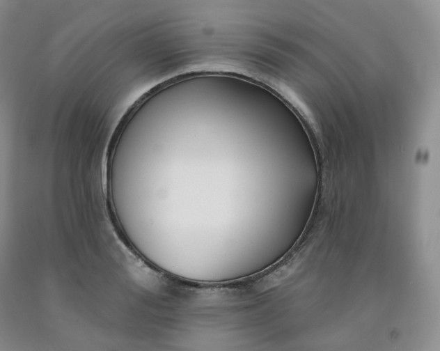 X0000092010988200709201526