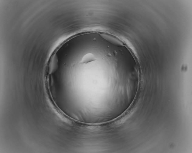 X0000092010989200709201526