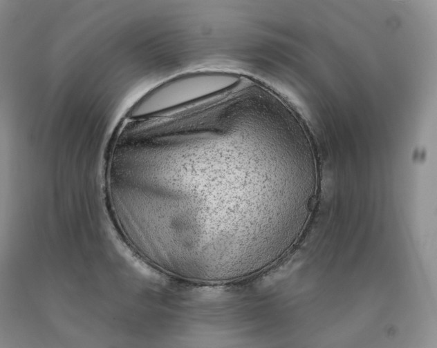X0000092010990200709201526