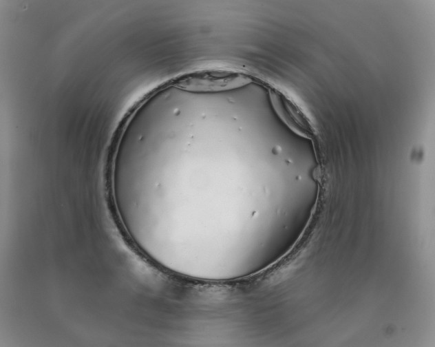 X0000092010991200709201526