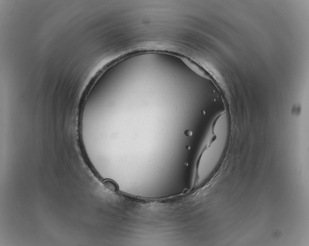 X0000092010992200709201526
