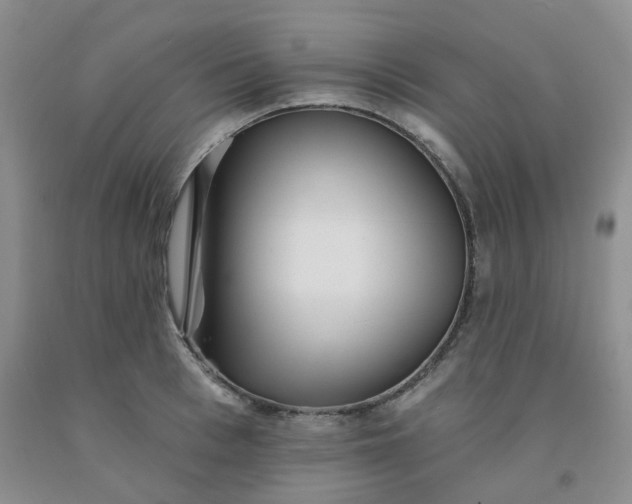 X0000092010993200709201526