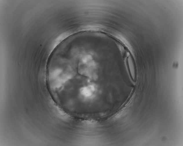 X0000092010994200709201526