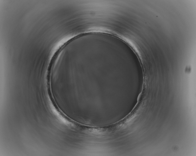 X0000092010995200709201526