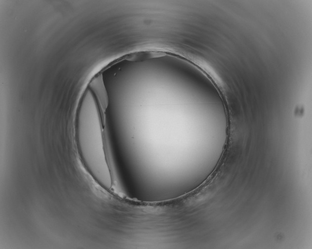 X0000092010996200709201526