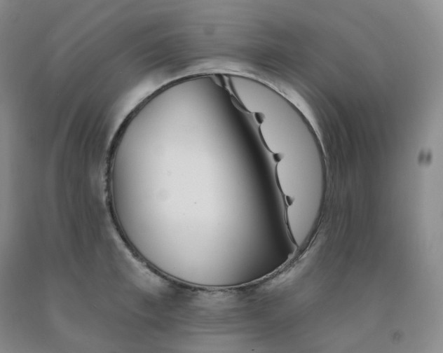 X0000092010997200709201526