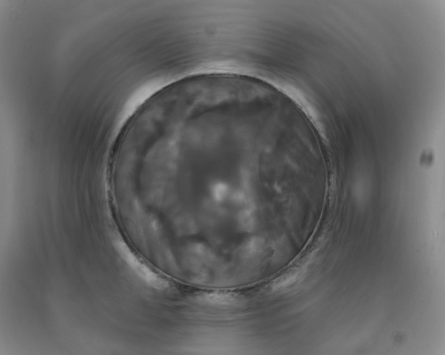 X0000092010998200709201526
