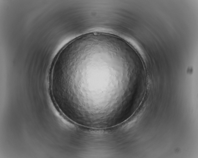 X0000092010999200709201526