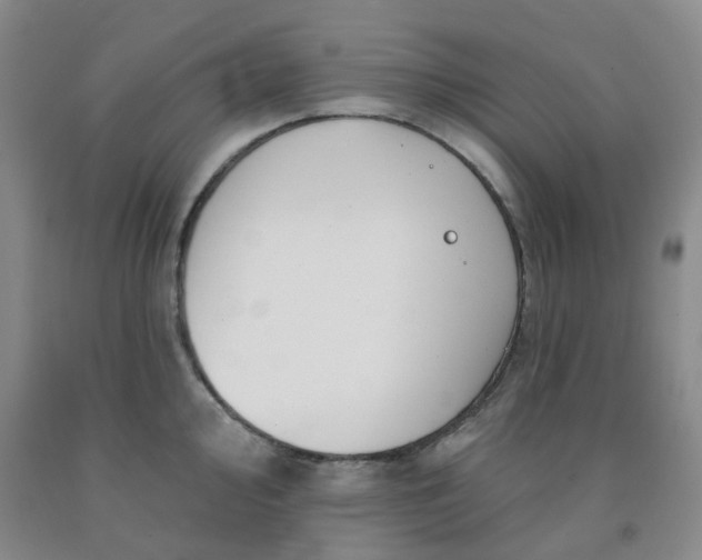X0000092011000200709201526