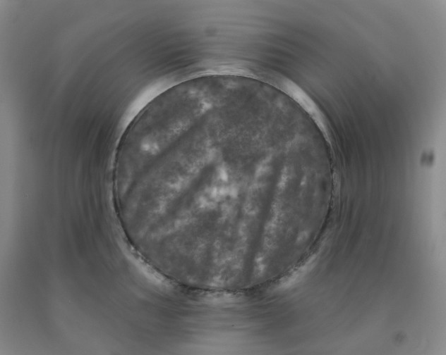 X0000092011002200709201526