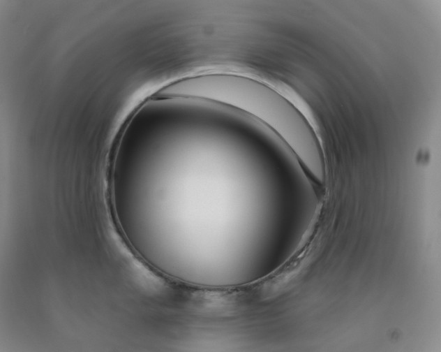 X0000092011005200709201526