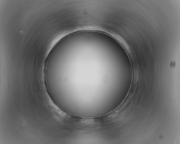 X0000092011006200709201526
