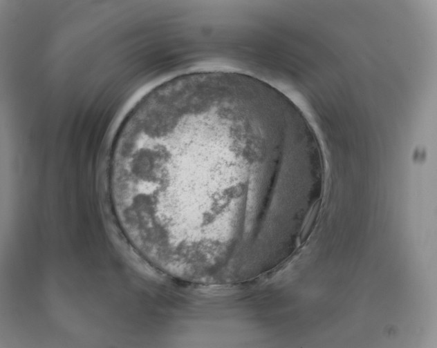 X0000092011008200709201526