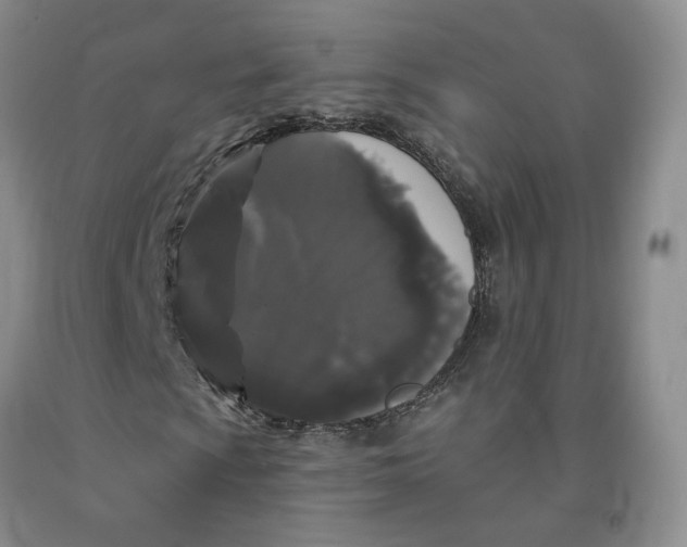 X0000092011009200709201525