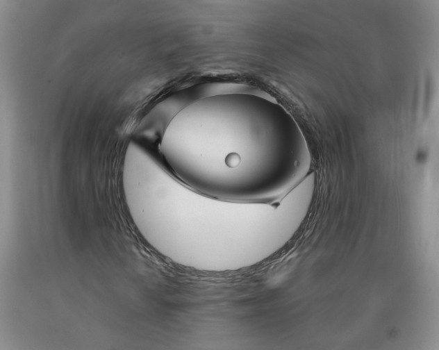 X0000092011010200709201525