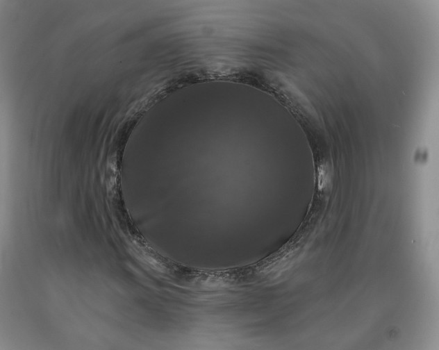 X0000092011011200709201525