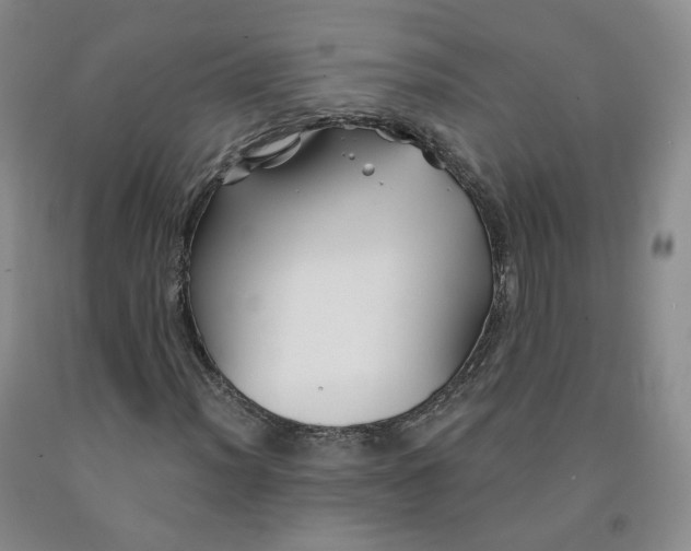 X0000092011012200709201525