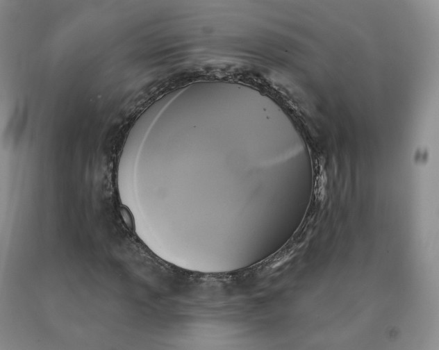 X0000092011013200709201525