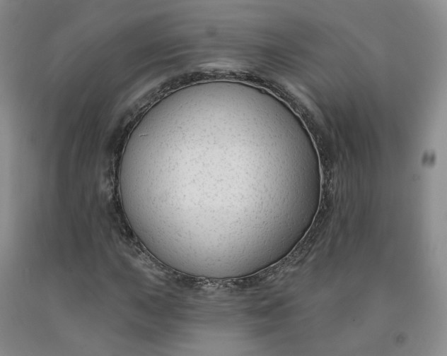 X0000092011015200709201525