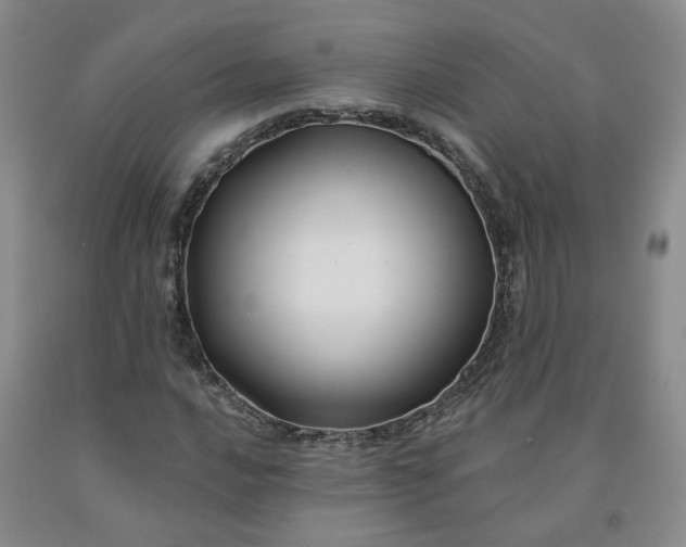 X0000092011016200709201525
